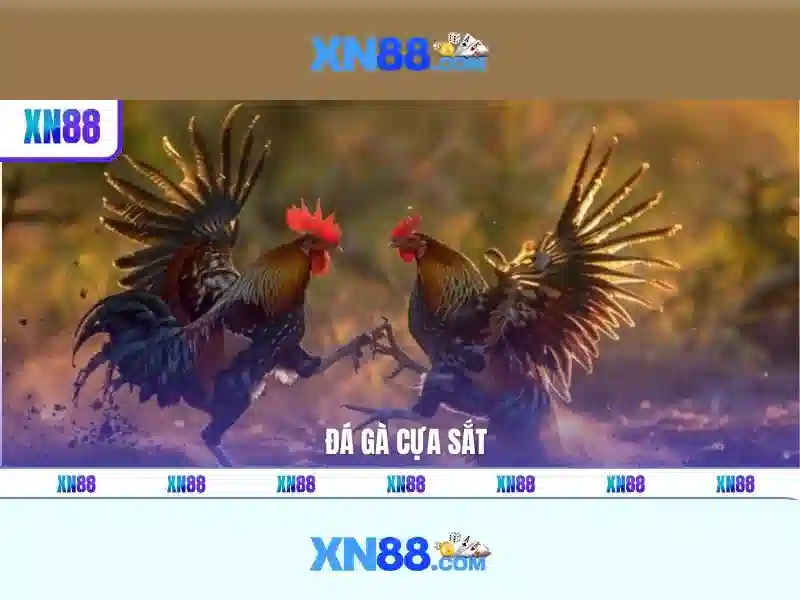 💎kèo nhà cái trận thái lan việt nam💎 💎kèo nhà cái trận thái lan việt nam💎