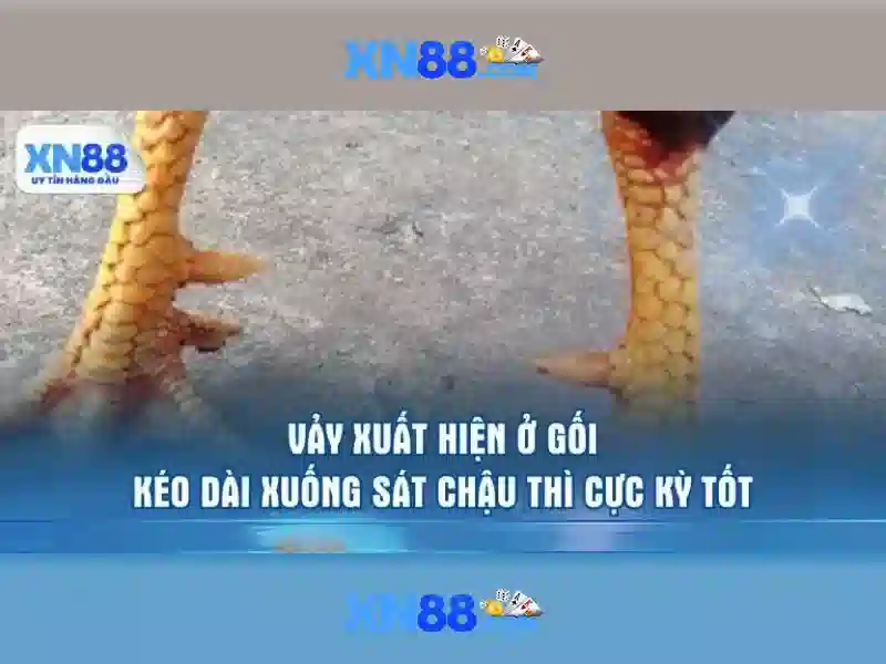 💎bài đánh giá về bác sĩ chiêm quốc thái💎 💎bài đánh giá về bác sĩ chiêm quốc thái💎