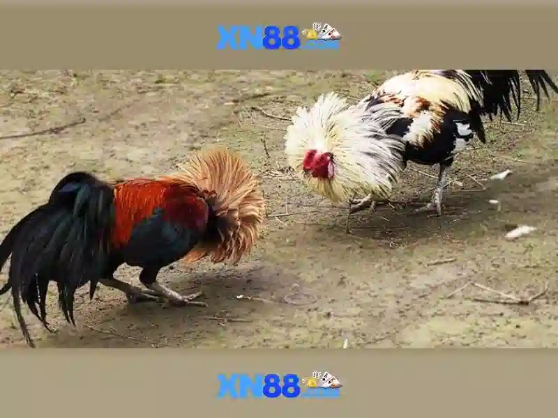 💎slots price is right💎 💎slots price is right💎