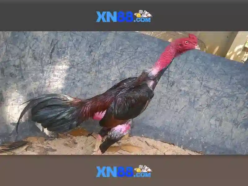 💎danh sach 108 luong son bac💎 💎danh sach 108 luong son bac💎