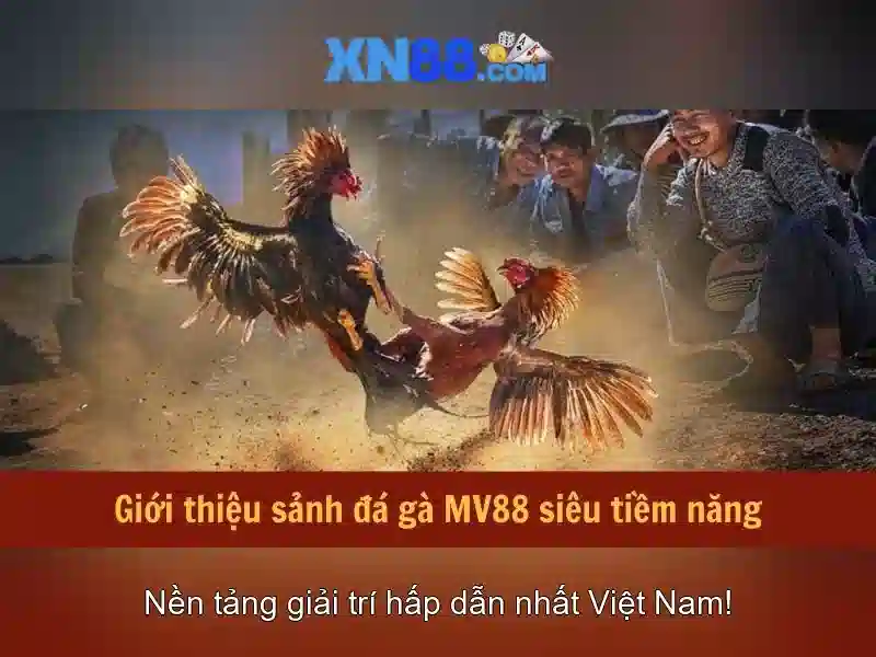 💎gogo 888 slot slot💎 💎gogo 888 slot slot💎