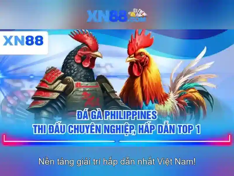 💎slots tradução💎 💎slots tradução💎