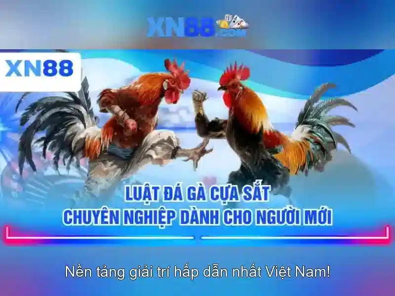 💎nhan dinh keo nha cai 2💎 💎nhan dinh keo nha cai 2💎