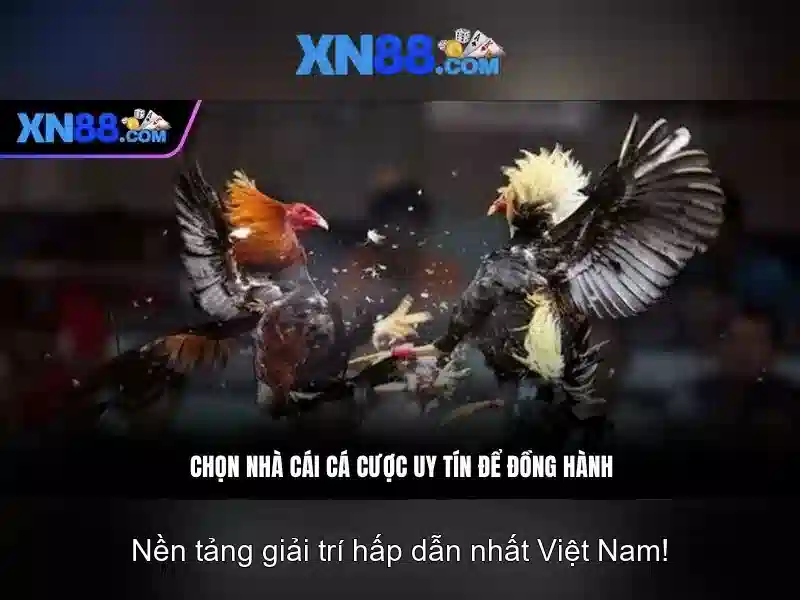 💎top nhà cái uy tín topnhacai.ú💎 💎top nhà cái uy tín topnhacai.ú💎