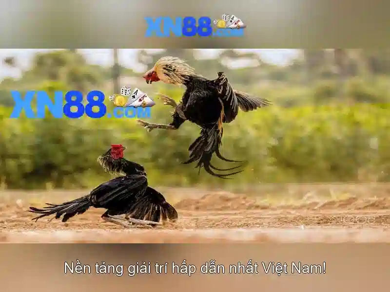 💎1x slots promo code💎 💎1x slots promo code💎