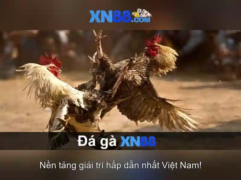 💎kèo nhà cái m88💎 - bong da keo nha cai m88 - m88 cá cược trực tuyến 💎kèo nhà cái m88💎 - bong da keo nha cai m88 - m88 cá cược trực tuyến