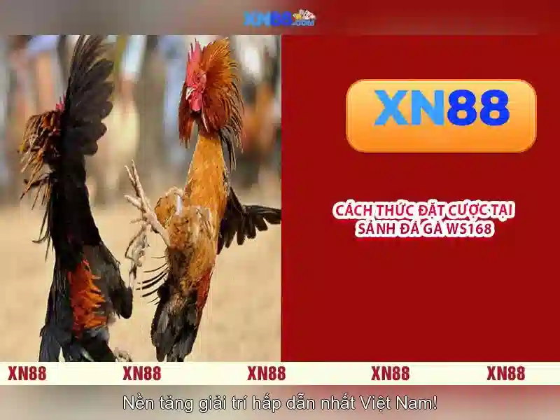 💎slots and casino login💎 💎slots and casino login💎