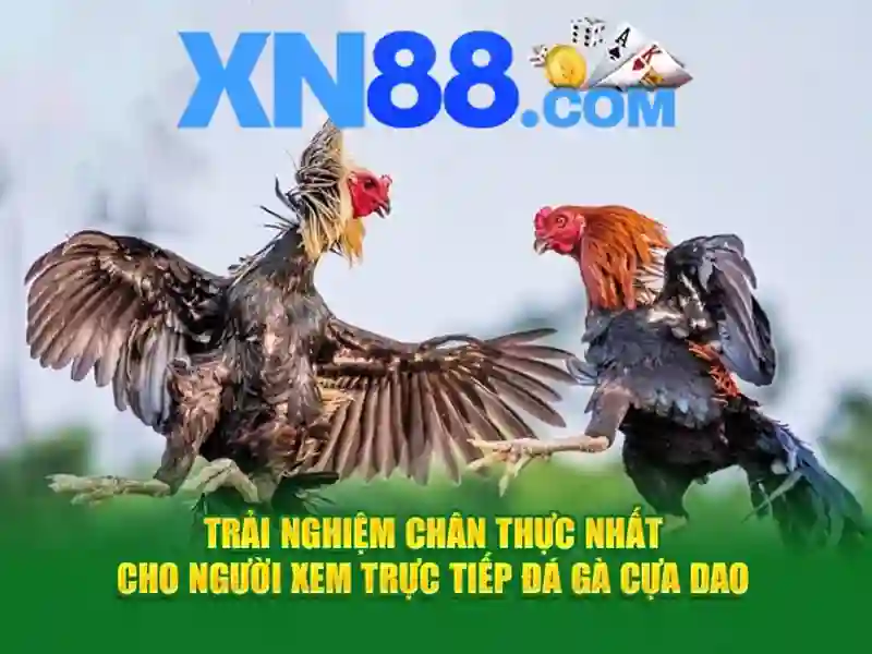 ứng dụng XN88 - xn88 ứng dụng XN88 - xn88